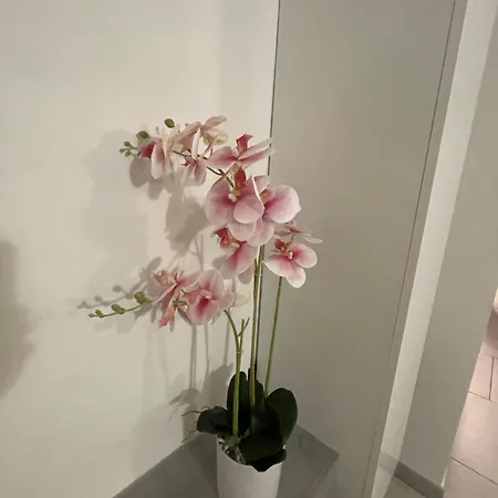 Ferienhaus Sabrina Maison Chic Dolcenido Bouquet Sanremo 1